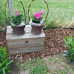 Tulipan Vendeghaz Appartement Kosihy nad Iplom