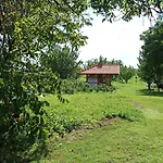 Tulipan Vendeghaz