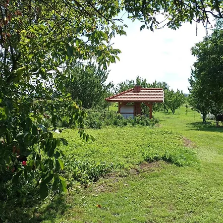 Tulipan Vendeghaz